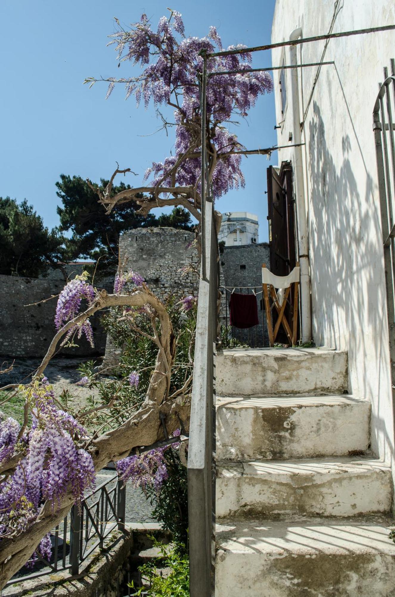 Bed and Breakfast Torre La Mezzaluna Vieste Zewnętrze zdjęcie