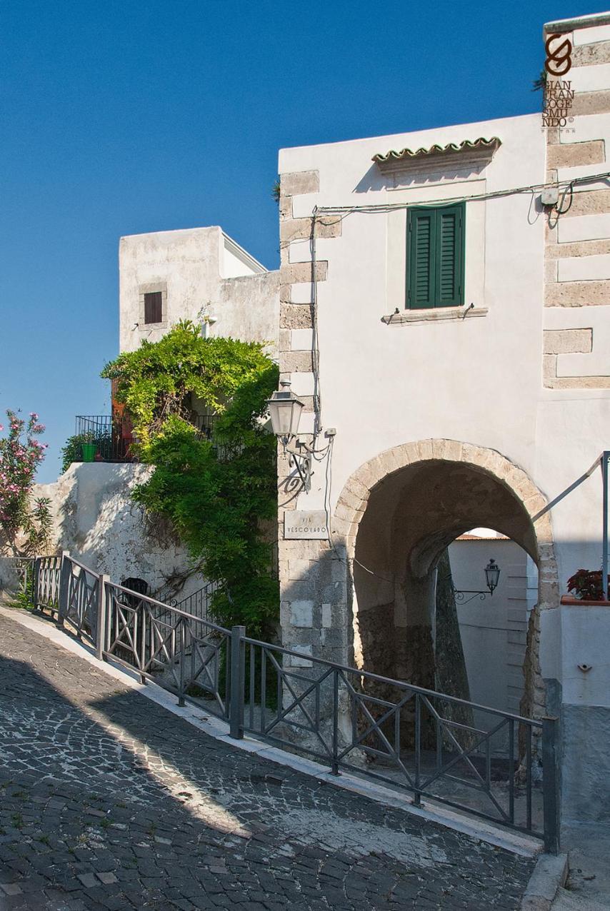 Bed and Breakfast Torre La Mezzaluna Vieste Zewnętrze zdjęcie
